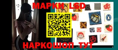 стаф Будённовск