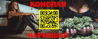 стаф Будённовск