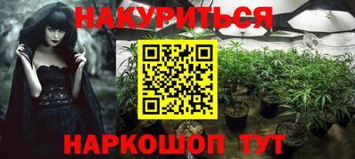 стаф Будённовск
