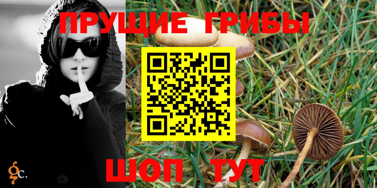 Псилоцибиновые грибы Psilocybine cubensis Рубцовск
